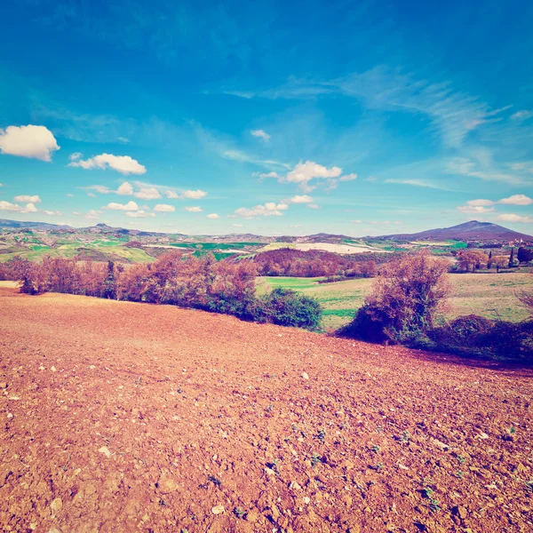 Plowed Fields — Stock Photo, Image