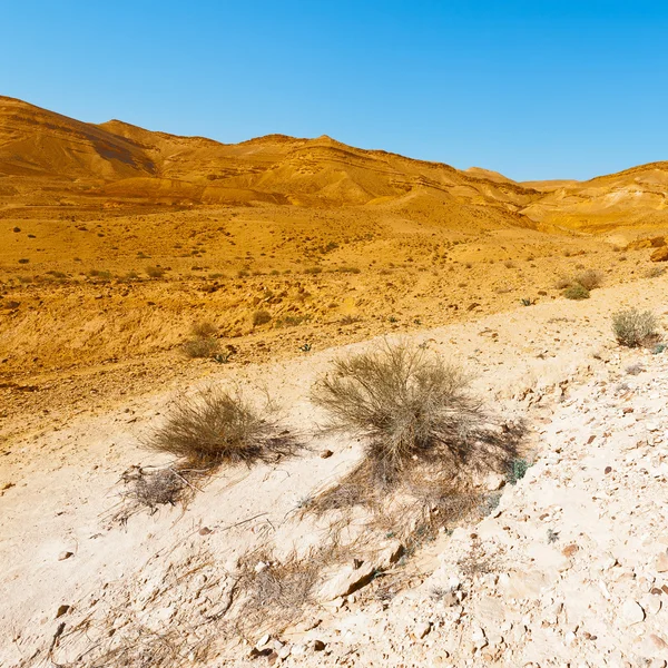 Desierto — Foto de Stock