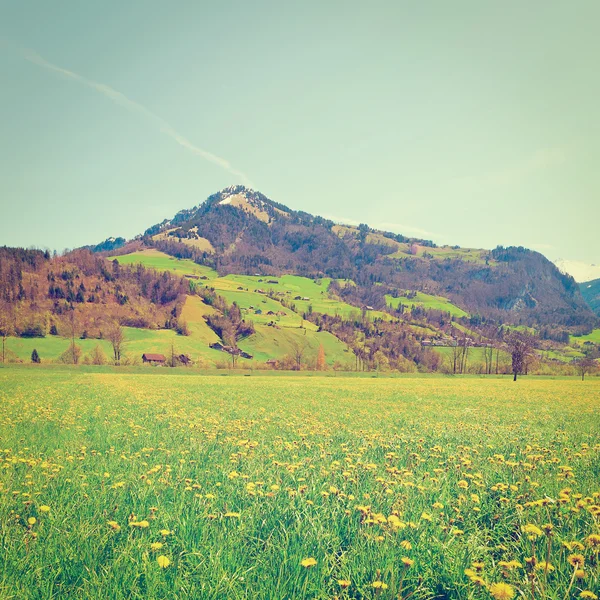 Alpes suíços — Fotografia de Stock