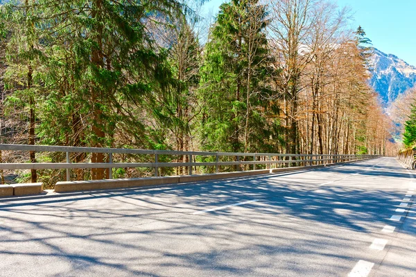 Asphaltstraße — Stockfoto