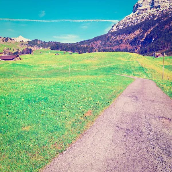 Asphalt Path — Stock Photo, Image