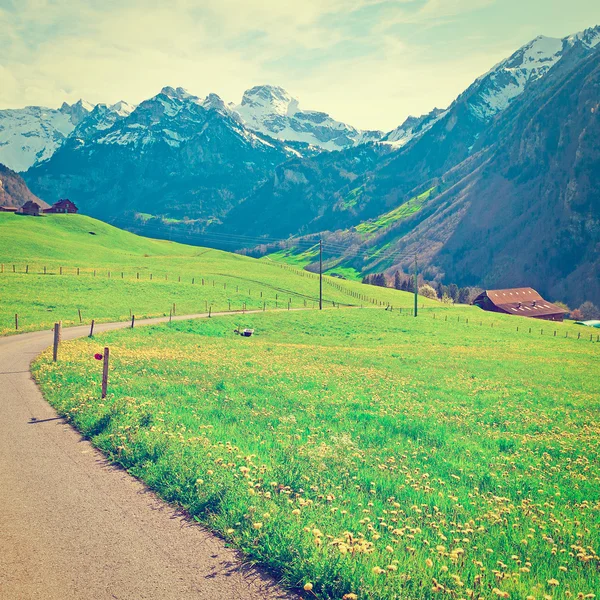 Asphaltweg — Stockfoto