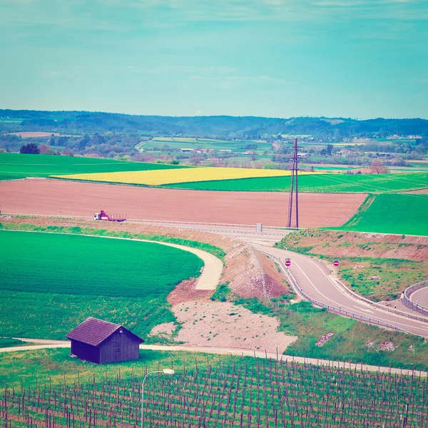 Campos verdes — Fotografia de Stock