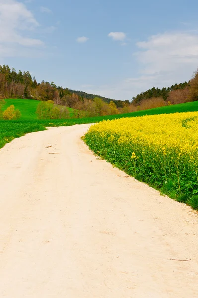 Toprak yol — Stok fotoğraf