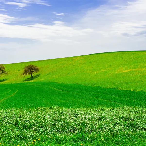 Microsoft windows background Stock Photos, Royalty