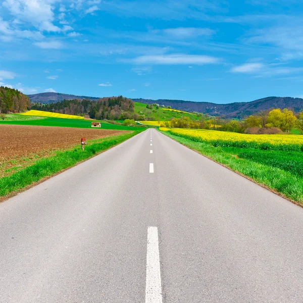 Strada tra campi — Foto Stock