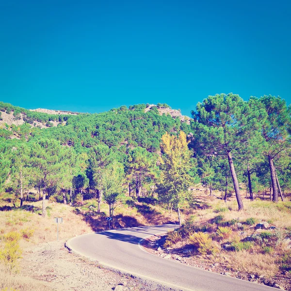 Estrada de asfalto — Fotografia de Stock