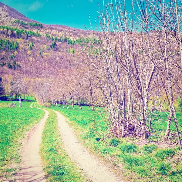 Dirt Road — Stock Photo, Image