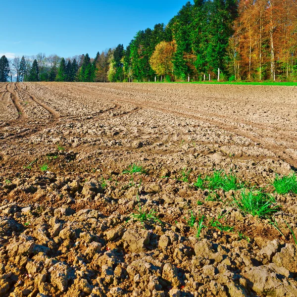 Campos fluidos — Foto de Stock