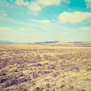 Alanlar ve türbinleri