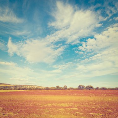 sürülmüş alanlar