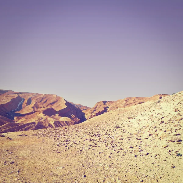 Deserto — Fotografia de Stock