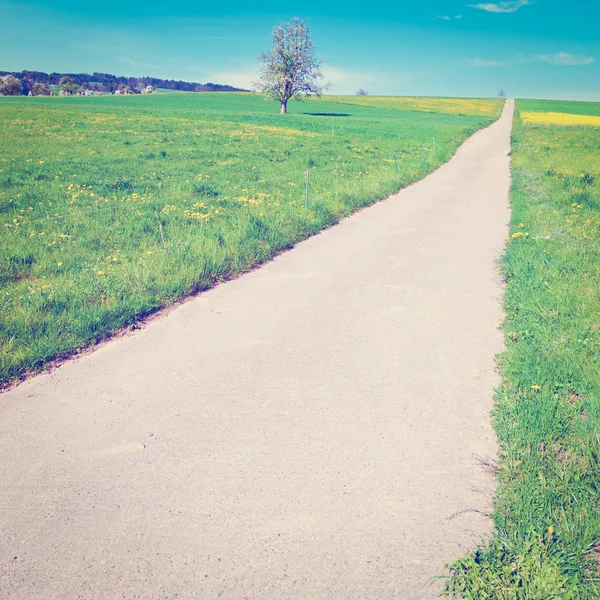 Pasture — Stock Photo, Image