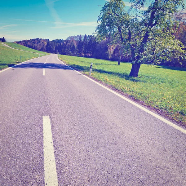 Asphalt Road — Stock Photo, Image