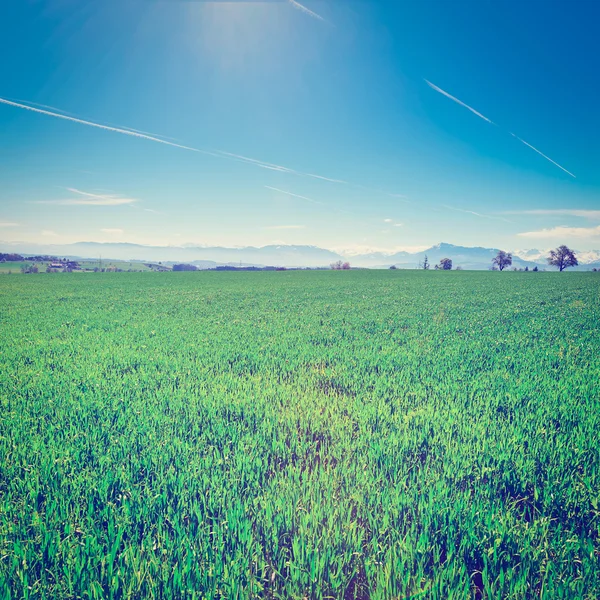 Pasture in Switzerland — Stock Photo, Image