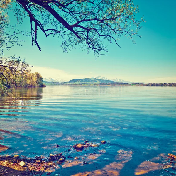 Jezioro Zuger — Zdjęcie stockowe