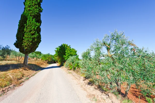 Onverharde weg — Stockfoto