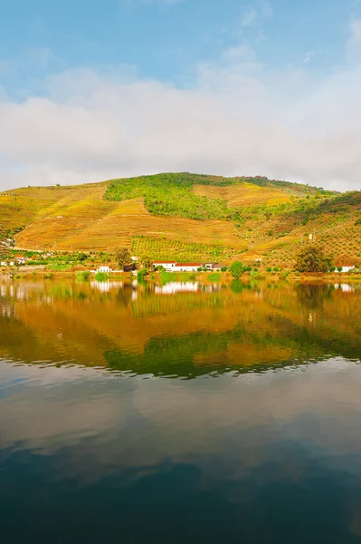 Rivier douro — Stockfoto