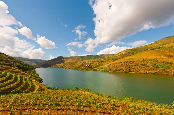 Floden douro — Stockfoto