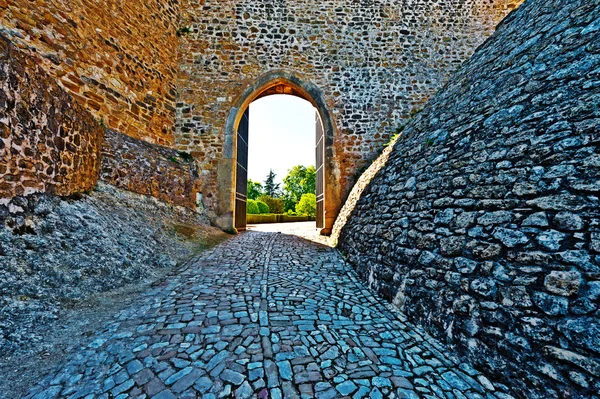 Gate — Stock Photo, Image