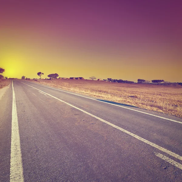 Road at Sunset — Stock Photo, Image