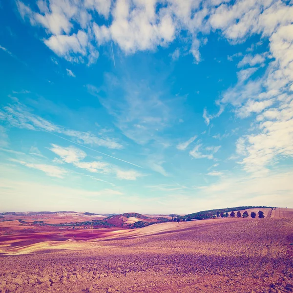 Collines labourées — Photo