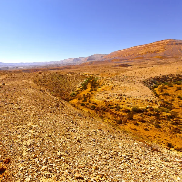 Deserto — Fotografia de Stock