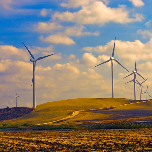 Wind Turbines — Stock Photo, Image