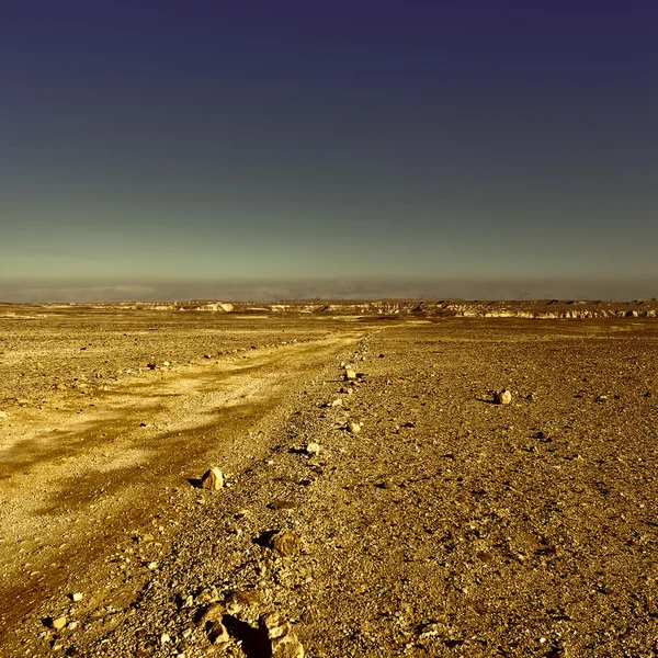 Negev Deserto — Foto Stock