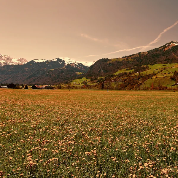 Swiss Alps — Stock Photo, Image