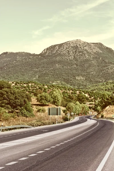 Yol — Stok fotoğraf