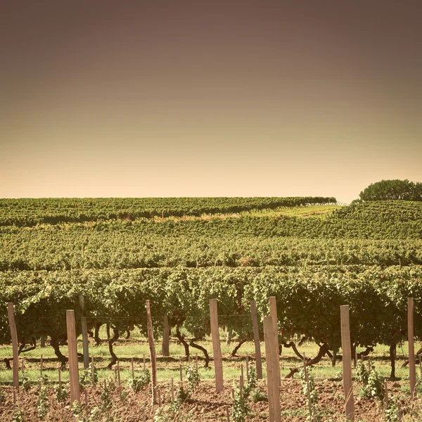 Bordeaux — Stock Photo, Image