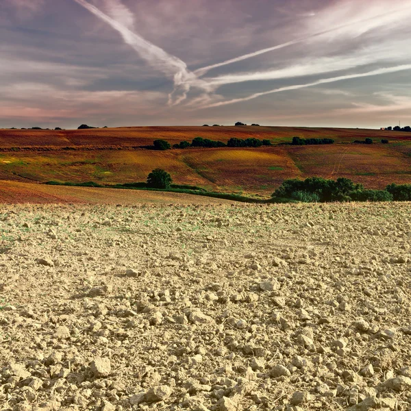 Plöjde fältet — Stockfoto