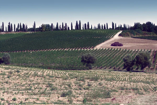 Toscane — Photo