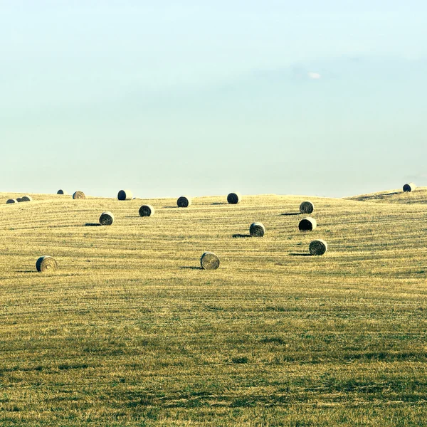 Toscana — Foto de Stock