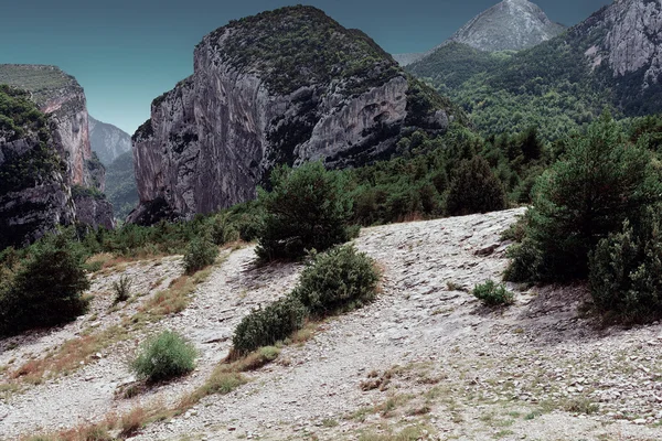 Cañón — Foto de Stock