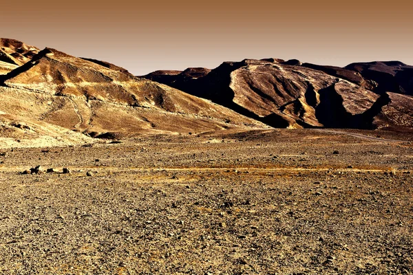 Desierto del Negev — Foto de Stock