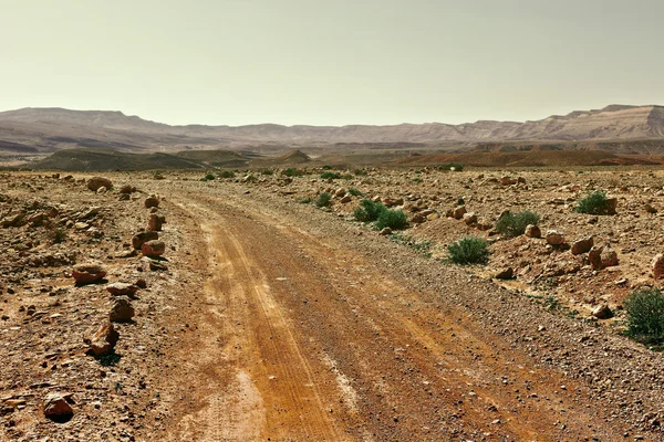 Camino de tierra — Foto de Stock