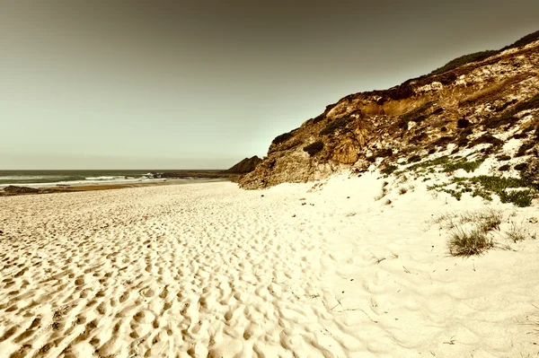 Spiaggia di oceano — Foto Stock