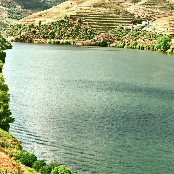 O Vale do Douro — Fotografia de Stock