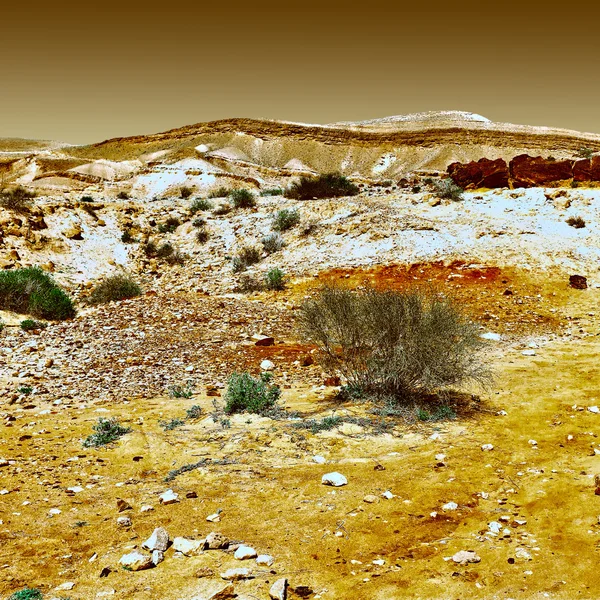 Большие камни в пустыне — стоковое фото