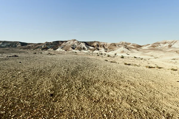 在以色列的犹太沙漠 — 图库照片