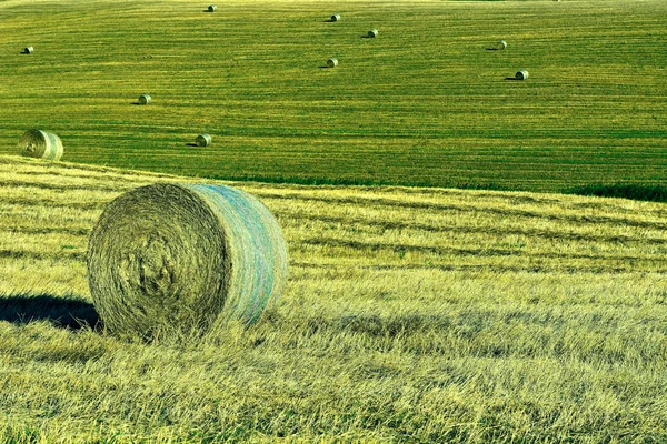 Széna bálák, Olaszország — Stock Fotó