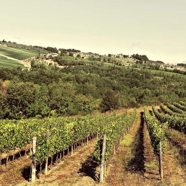 Våren Tuscany landskap — Stockfoto