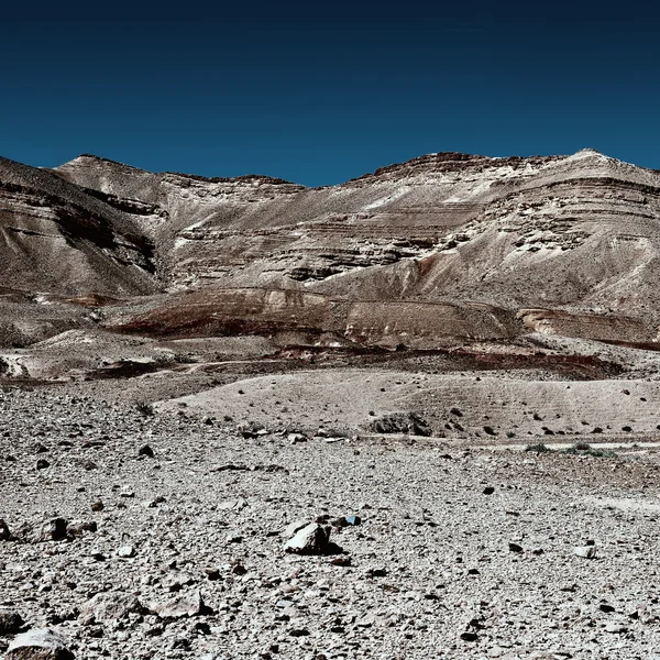 Öken i israel — Stockfoto