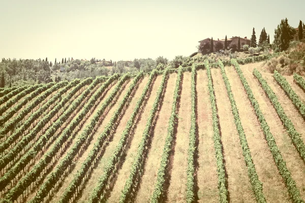 Tuscany — Stock Photo, Image