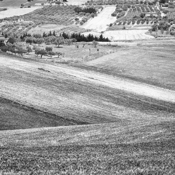 Stoppels velden — Stockfoto