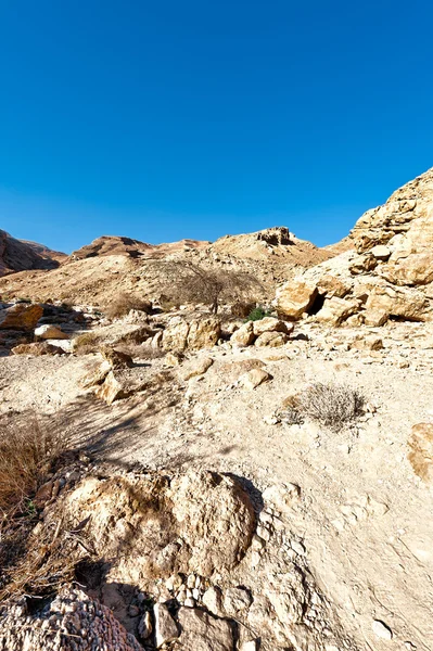 岩の丘 — ストック写真