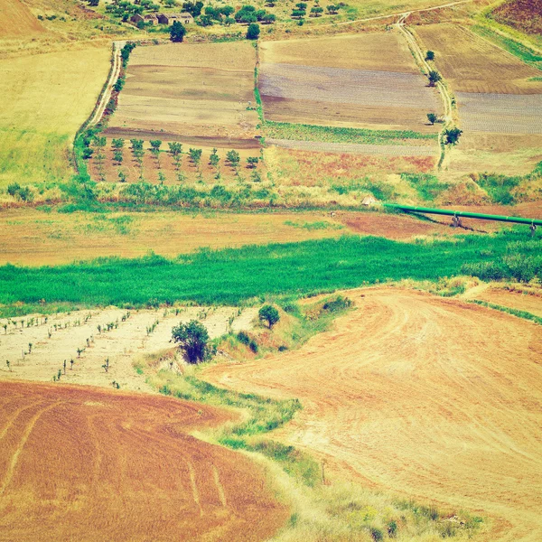 Fields of Sicily — Stock Photo, Image