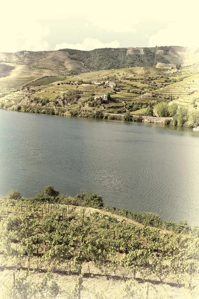 The River Douro — Stock Photo, Image